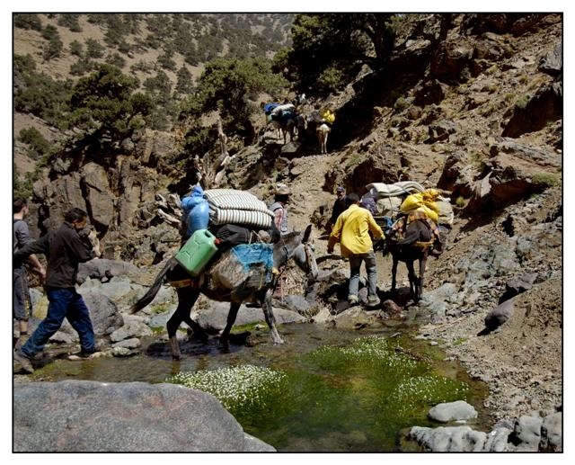 toubkal 171 (Small).jpg